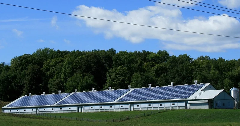 Performance énergétique et durabilité dans la maison moderne